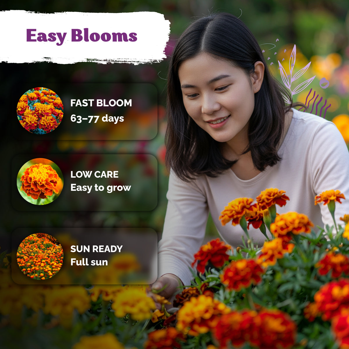 Sparky Mixture French Marigold Seeds