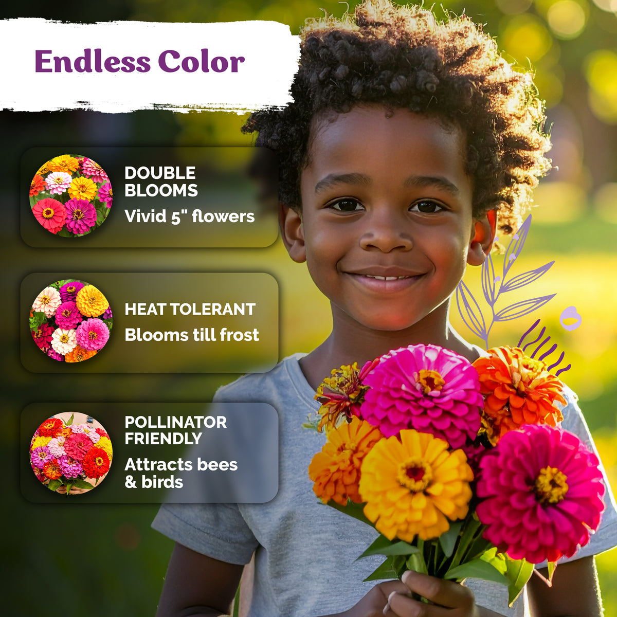 Mix Double Dahlia Zinnia Seeds