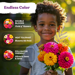 Mix Double Dahlia Zinnia Seeds – kviterseeds.com – photo 4