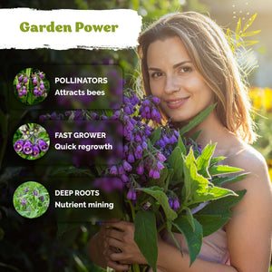 Comfrey Seeds – kviterseeds.com – photo 4