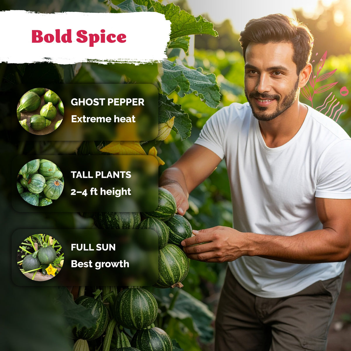 Round Zucchini Seeds
