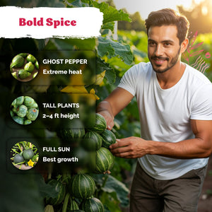 Round Zucchini Seeds – kviterseeds.com – photo 4