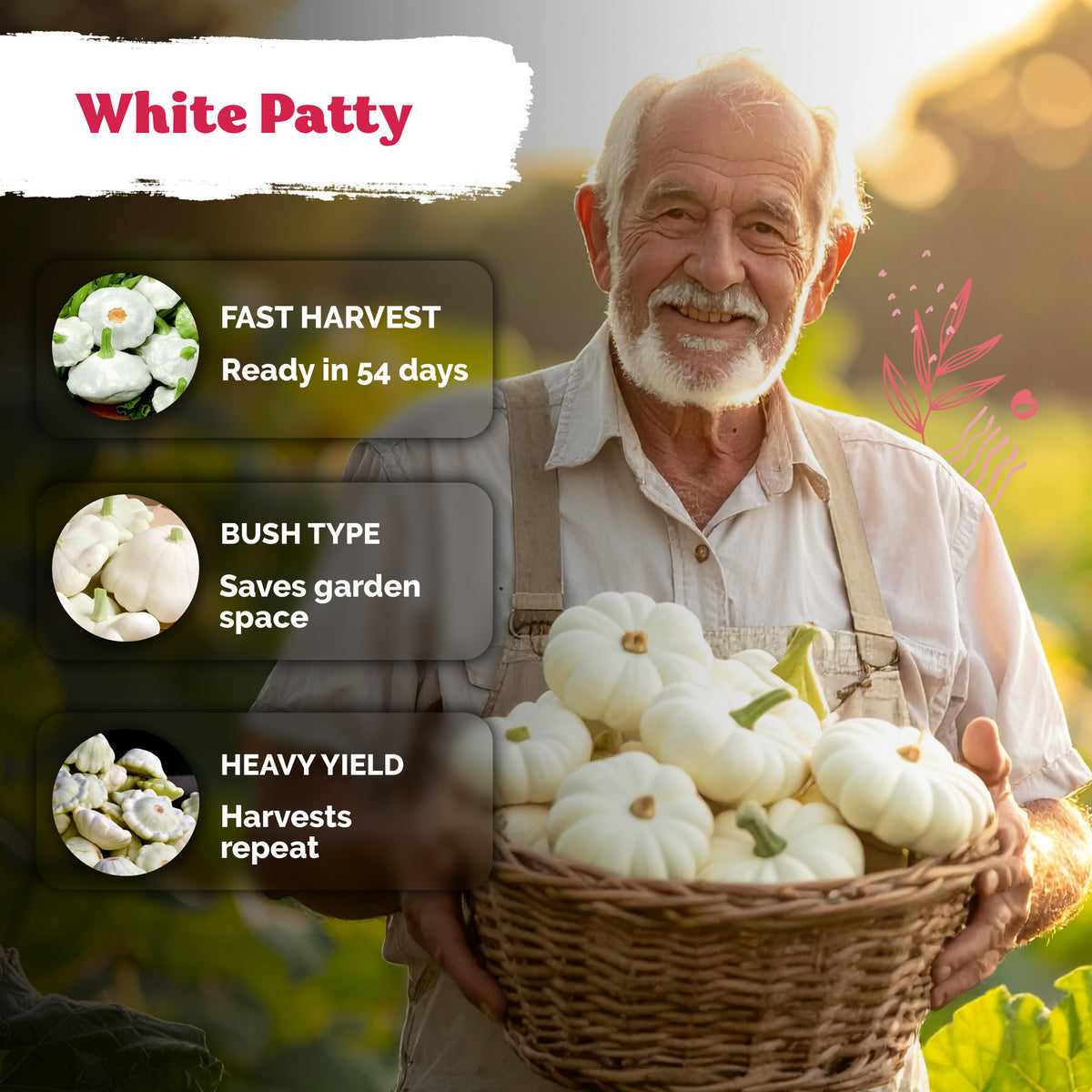 White Patty Pan Seeds