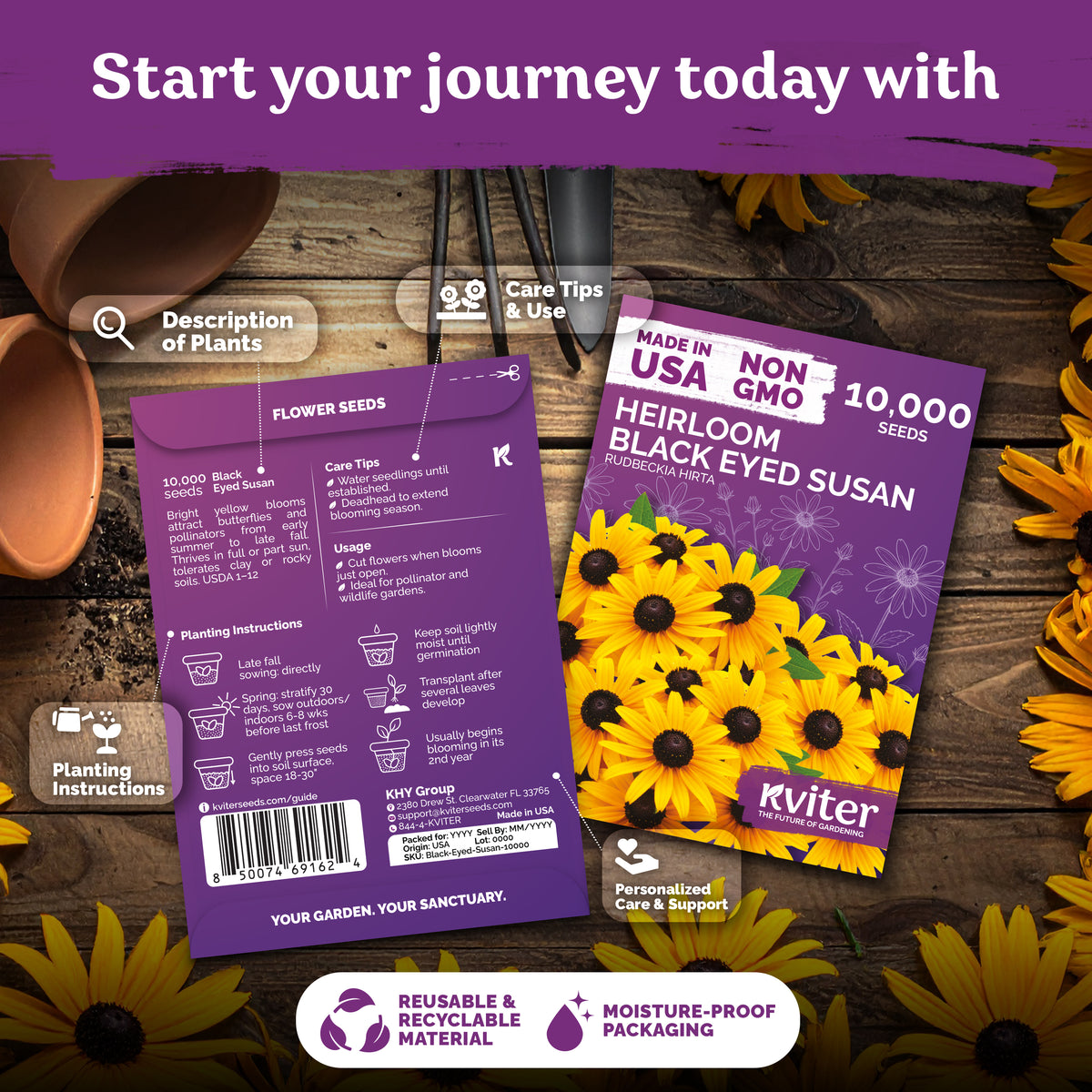 Black Eyed Susan Seeds