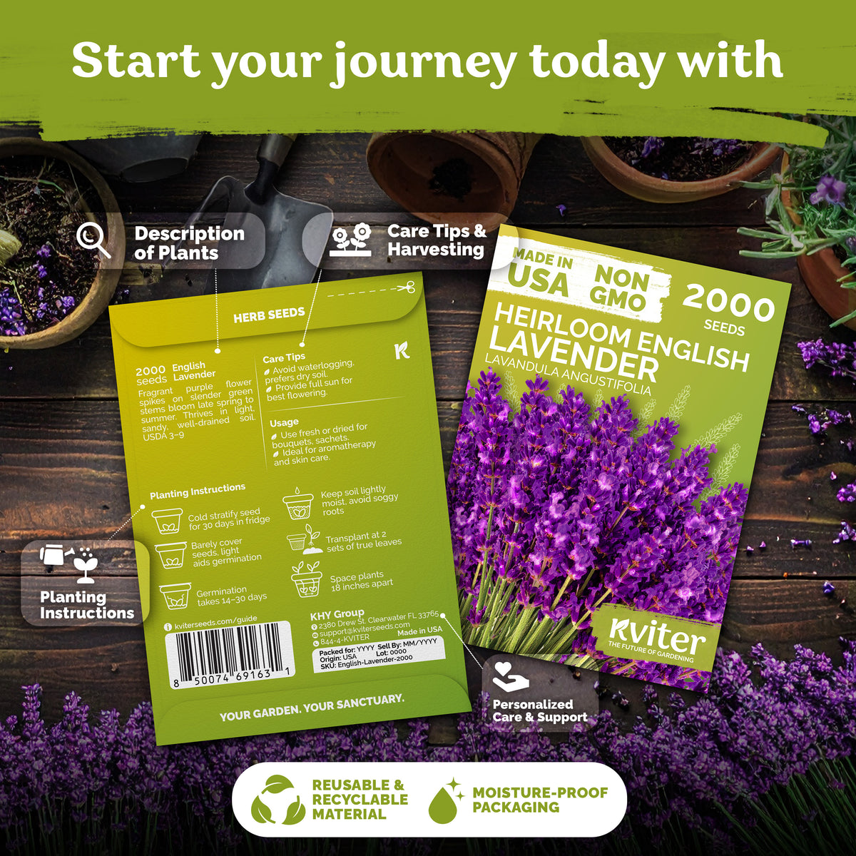 English Lavender Seeds – kviterseeds.com – photo 2