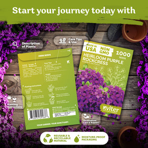 Purple Rockcress Seeds – kviterseeds.com – photo 2