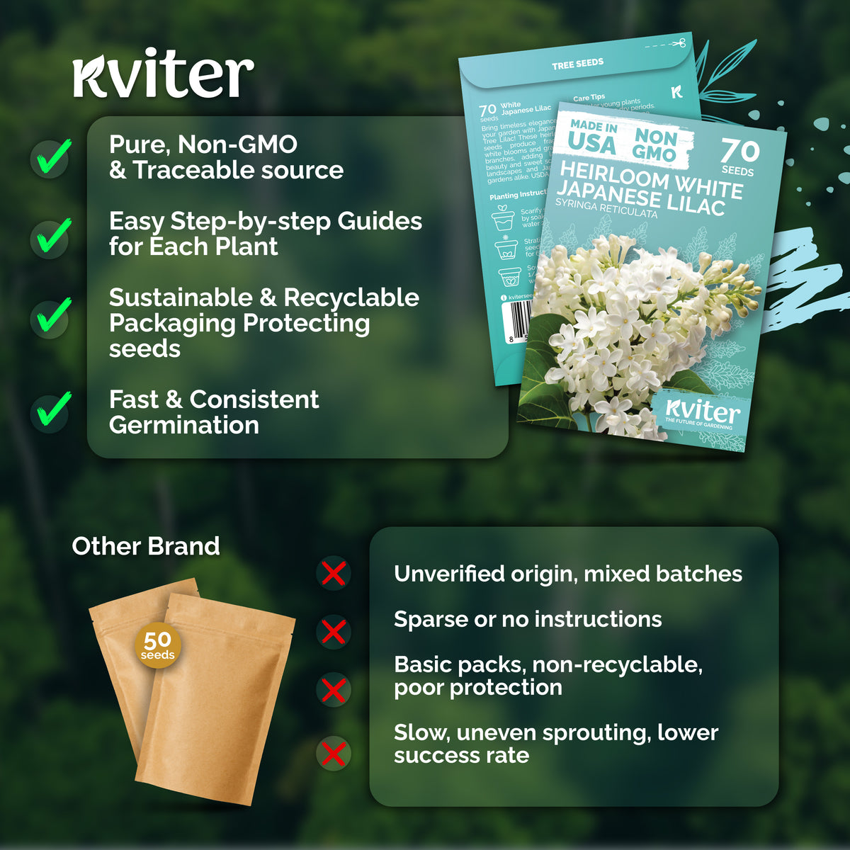 White Japanese Lilac Seeds – kviterseeds.com – photo 3