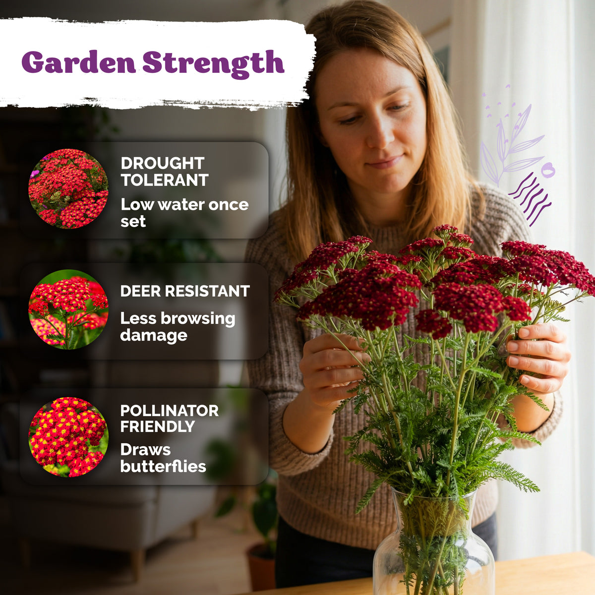 Red Yarrow Seeds