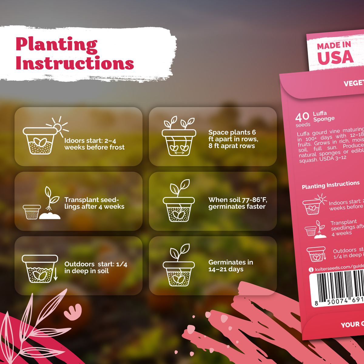 Luffa Sponge Seeds – kviterseeds.com – photo 3