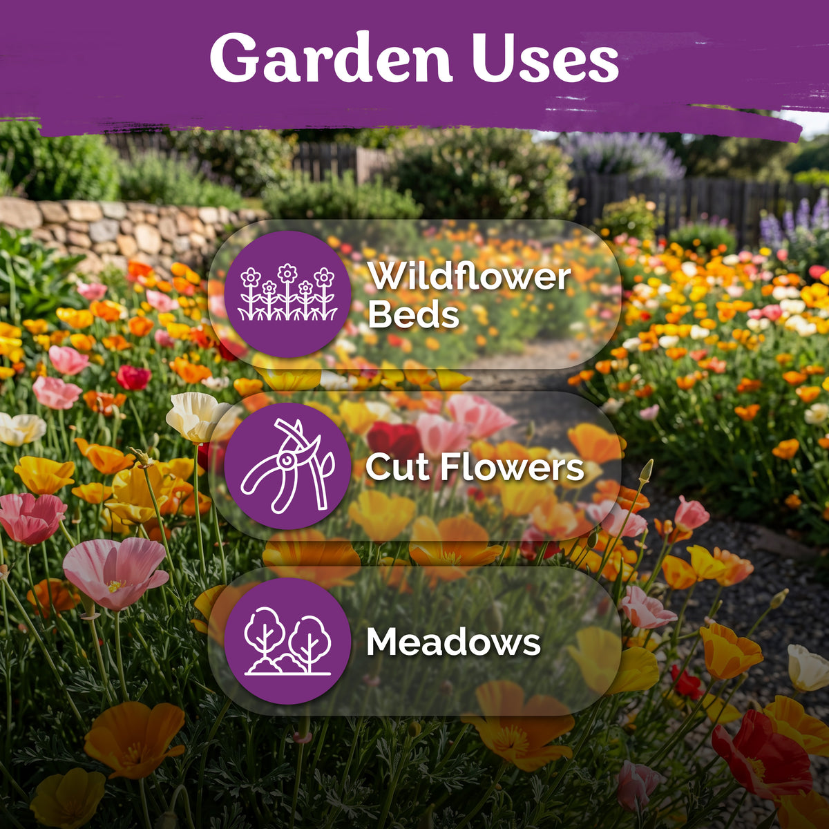 California Poppy Mix Seeds