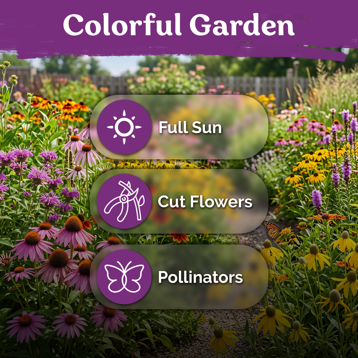 Mix Coneflower Seeds