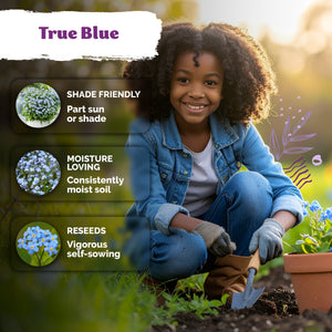 Forget-Me-Not Seeds – kviterseeds.com – photo 4