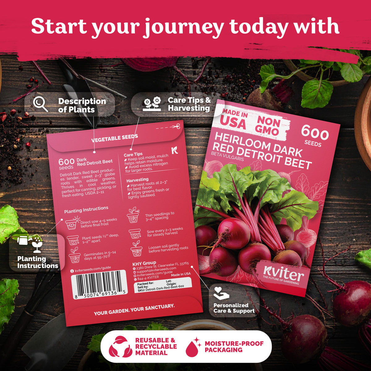 Dark Red Detroit Beet Seeds – kviterseeds.com – photo 2