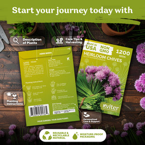 Chives Seeds – kviterseeds.com – photo 2