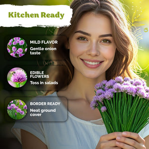 Chives Seeds – kviterseeds.com – photo 4