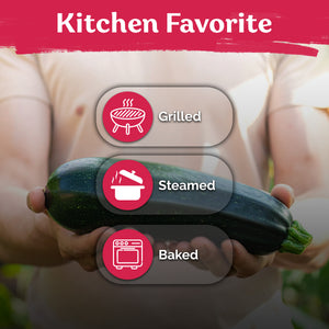 Black Beauty Zucchini Summer Squash Seeds – kviterseeds.com – photo 5