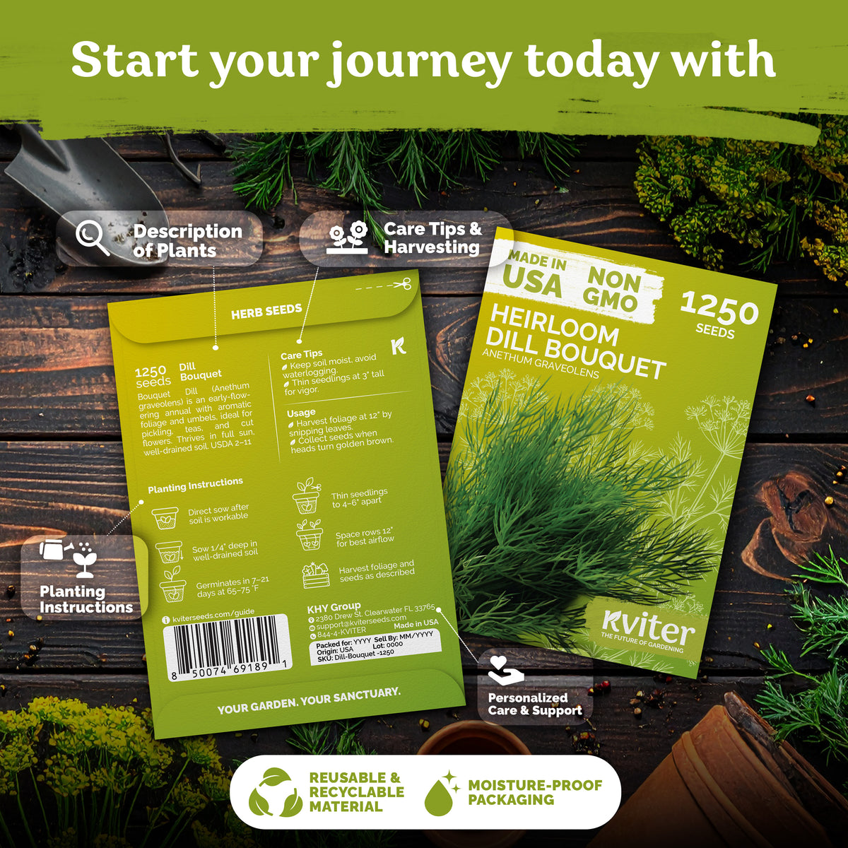 Dill Bouquet Seeds – kviterseeds.com – photo 2