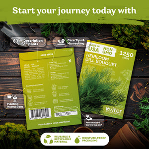 Dill Bouquet Seeds – kviterseeds.com – photo 2