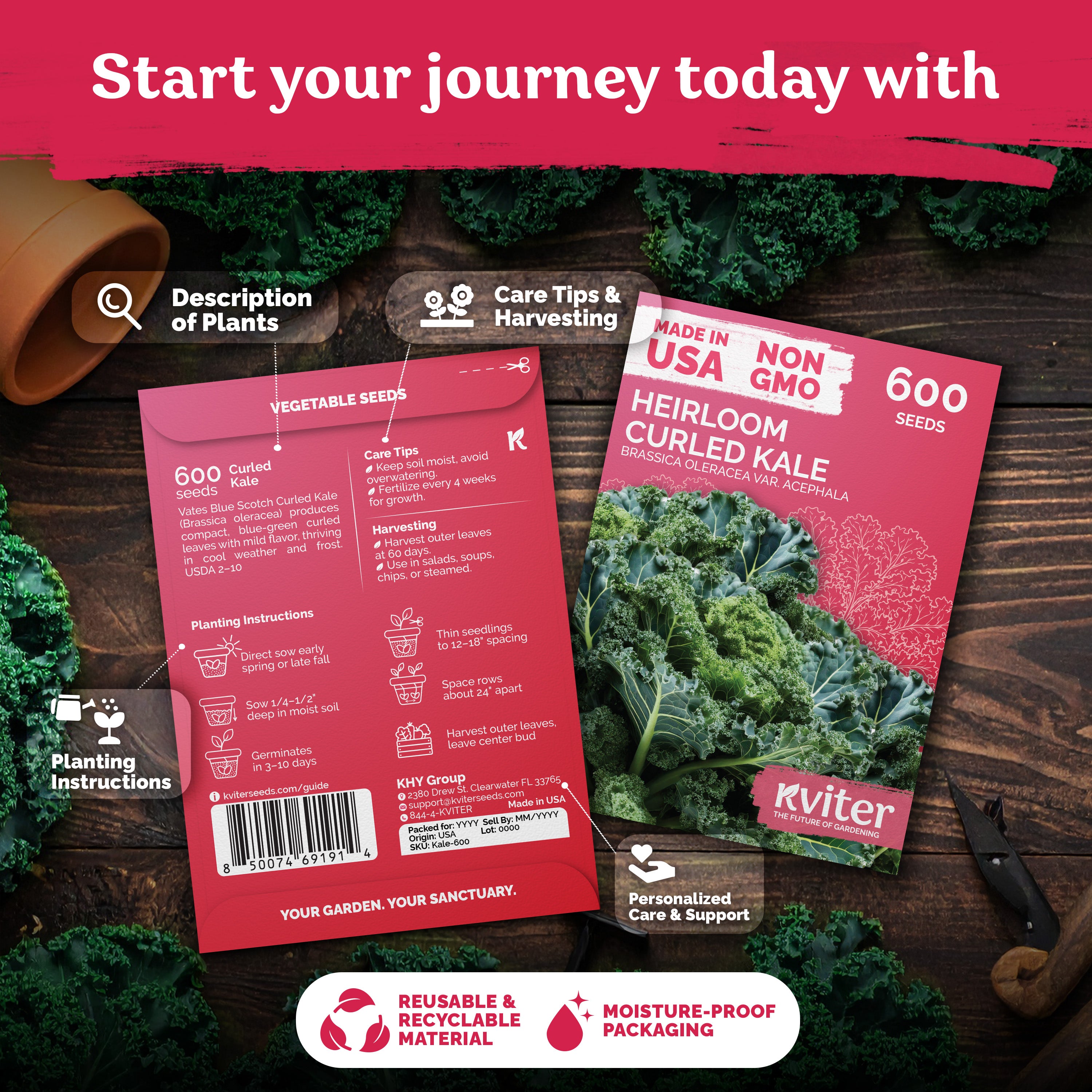 Vates Blue Scotch Curled Kale Seeds – kviterseeds.com – photo 2