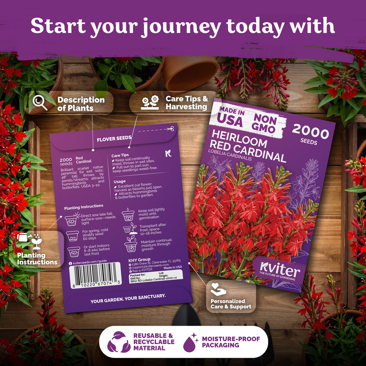 Red Cardinal Flower Seeds – kviterseeds.com – photo 2
