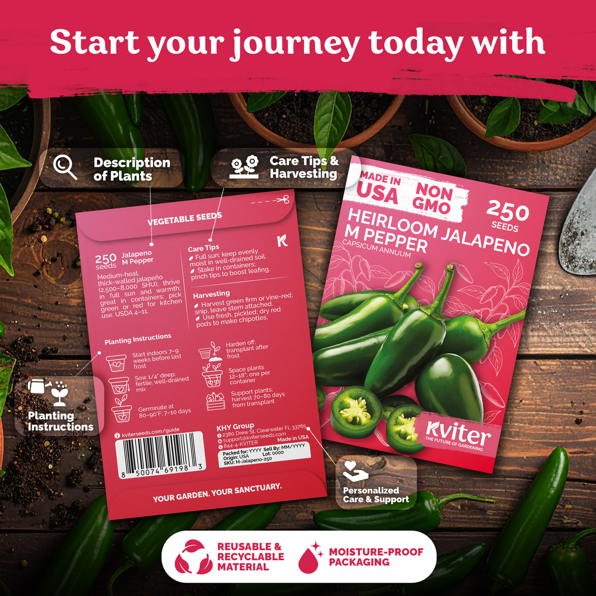 Jalapeno M Pepper Seeds – kviterseeds.com – photo 2