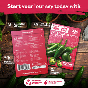 Jalapeno M Pepper Seeds – kviterseeds.com – photo 2