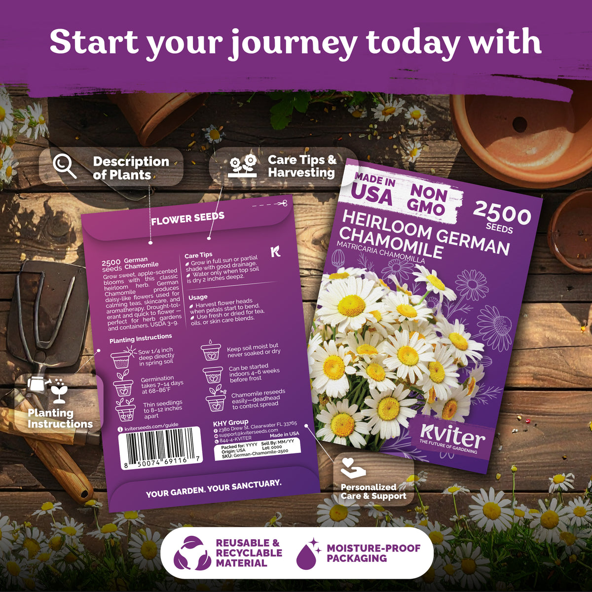 German Chamomile Seeds – kviterseeds.com – photo 2