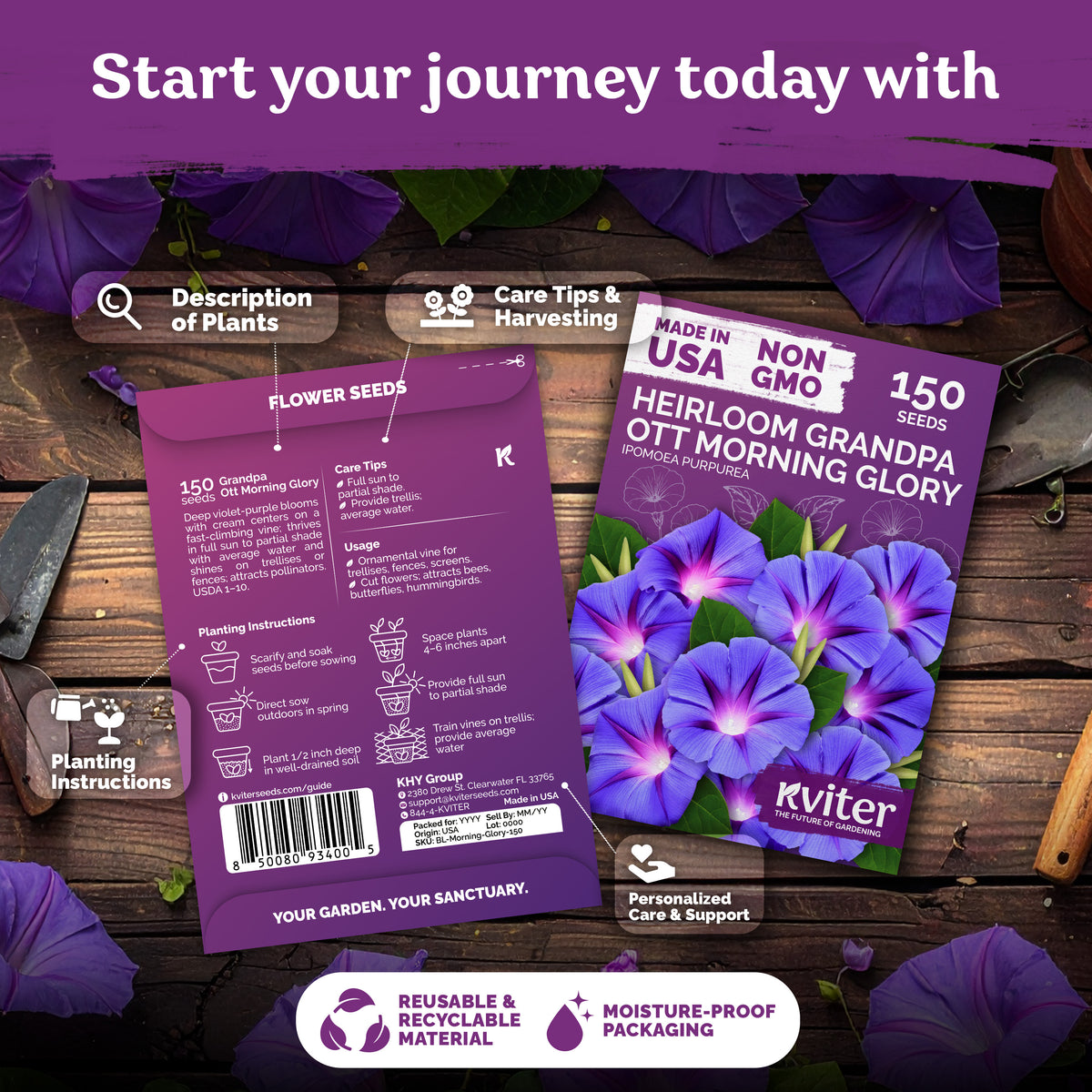 Grandpa Ott Morning Glory Seeds – kviterseeds.com – photo 2
