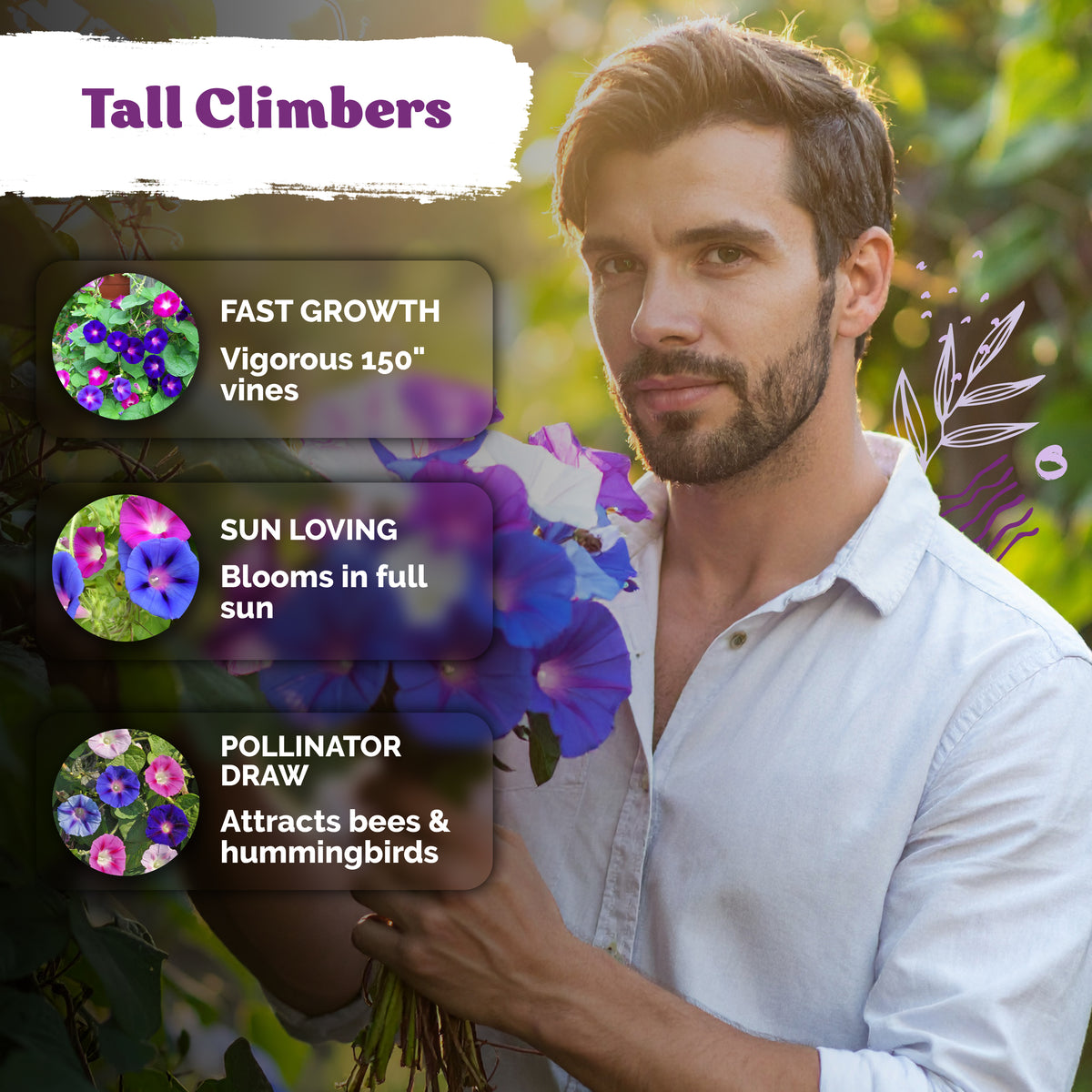 Mix Tall Morning Glory Seeds