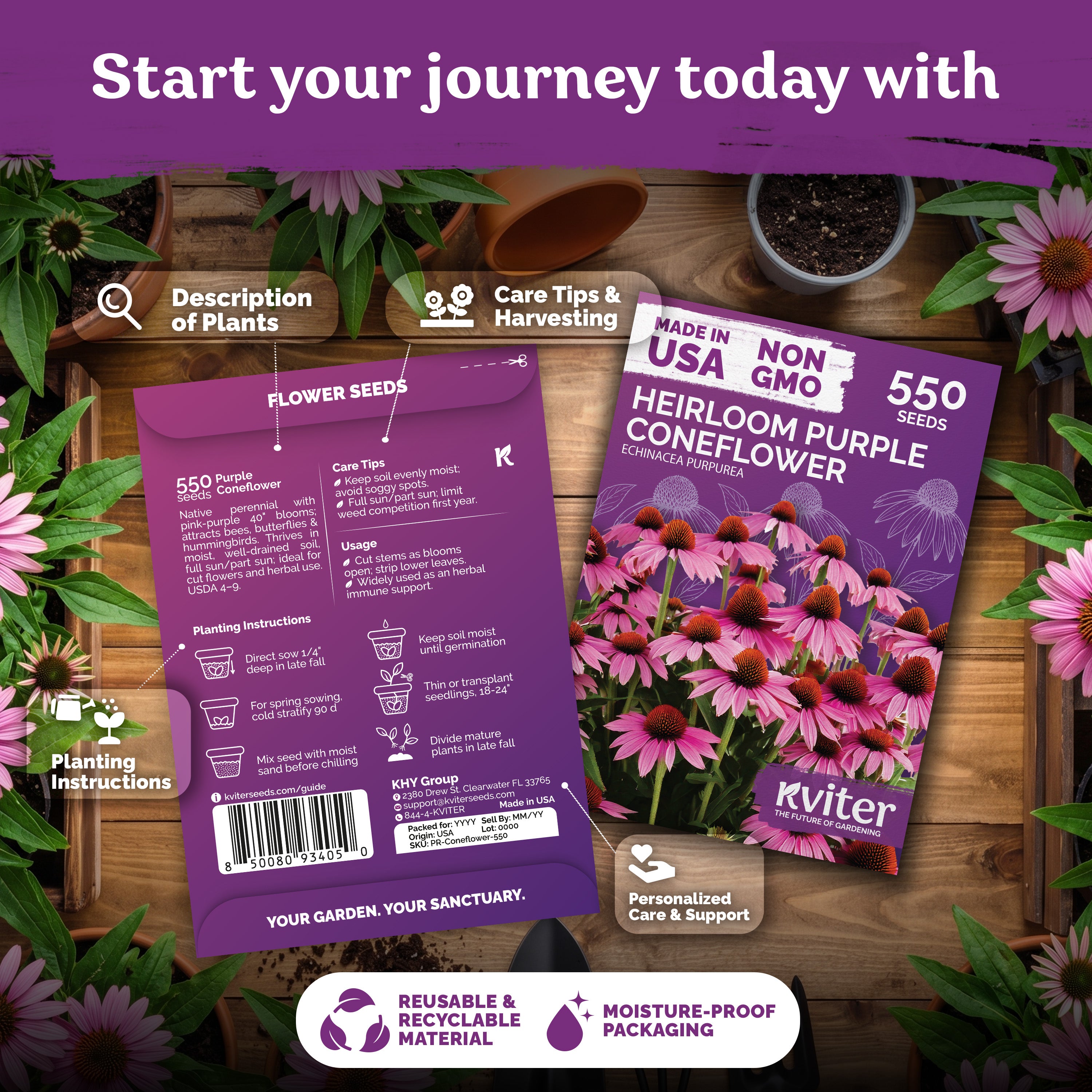 Purple Coneflower Seeds – kviterseeds.com – photo 2
