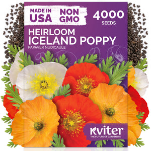 Iceland Poppy Seeds – kviterseeds.com