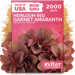 Red Garnet Amaranth Seeds – kviterseeds.com