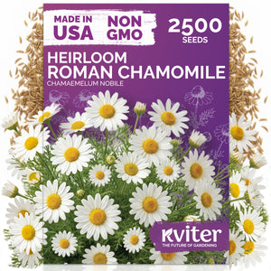 Roman Chamomile Seeds – kviterseeds.com