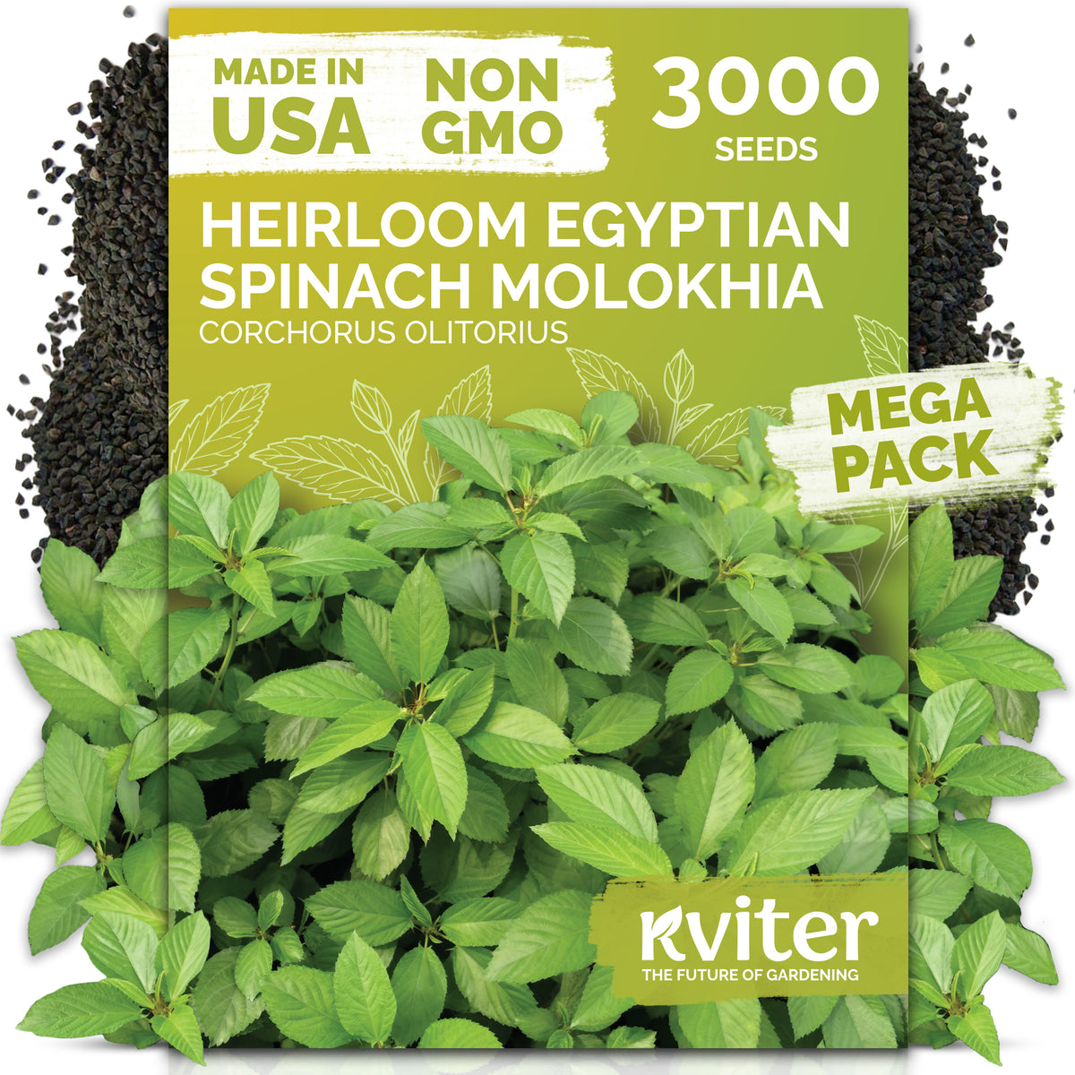 Egyptian Spinach Molokhia Seeds – kviterseeds.com