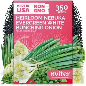 Evergreen White Nebuka Onion Seeds – kviterseeds.com