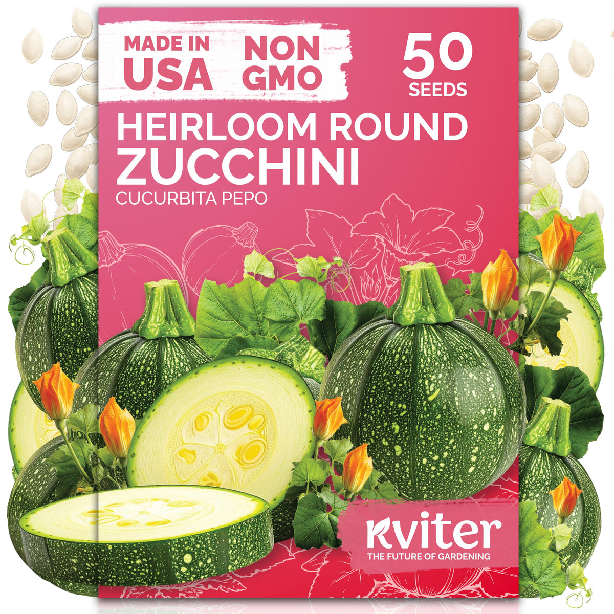 Round Zucchini Seeds – kviterseeds.com