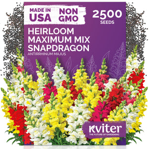 Maximum Mix Snapdragon Seeds – kviterseeds.com