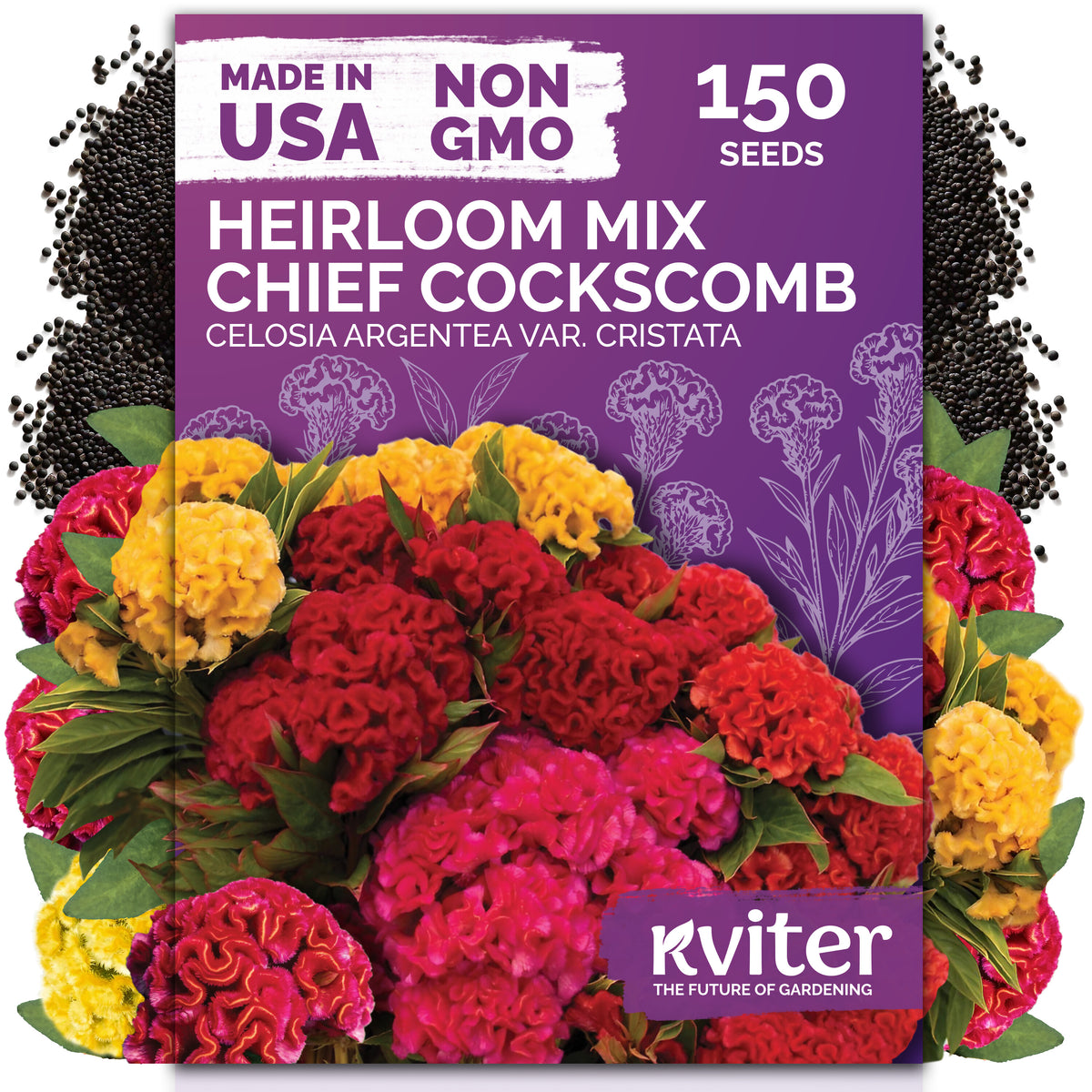 Mix Chief Cockscomb Seeds – kviterseeds.com