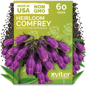 Comfrey Seeds – kviterseeds.com