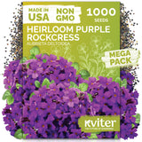 Purple Rockcress Seeds – kviterseeds.com