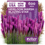 Marsh Blazing Star Seeds – kviterseeds.com