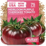 Purple Cherokee Tomato Seeds – kviterseeds.com