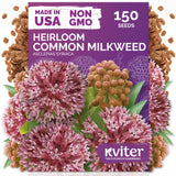 Common Milkweed Seeds – kviterseeds.com