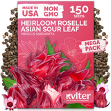 Roselle Asian Sour Leaf Seeds – kviterseeds.com