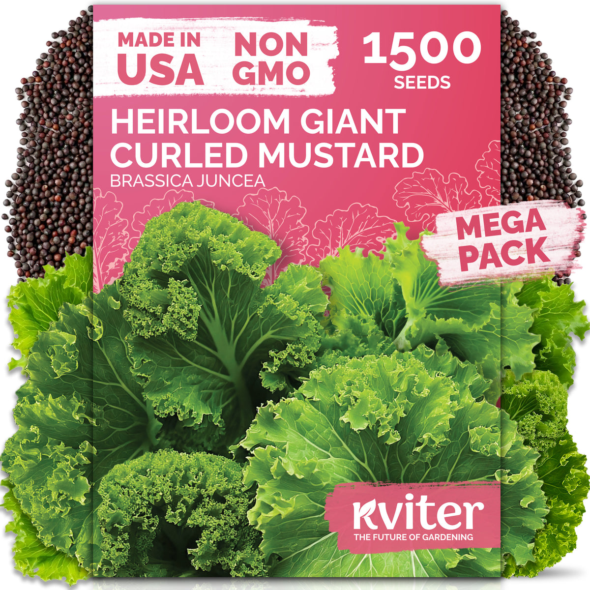 Southern Giant Curled Mustard Seeds