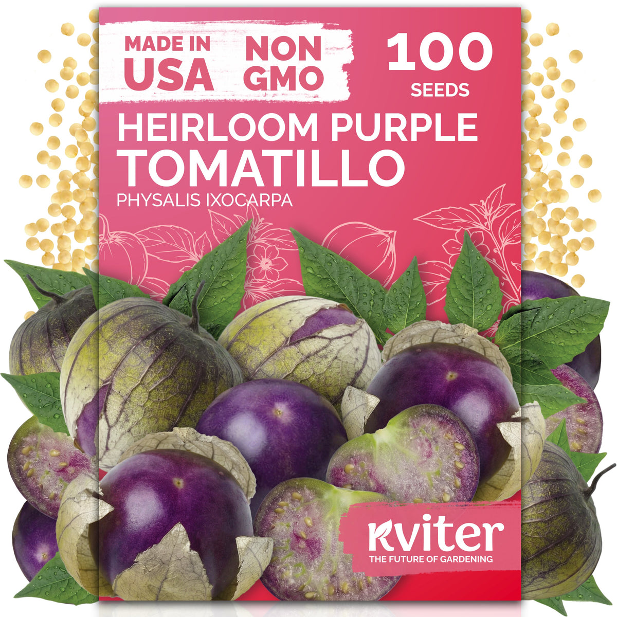 Purple Tomatillo Seeds – kviterseeds.com