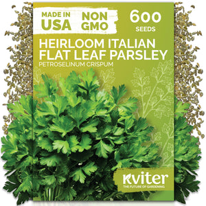 Dark Green Italian Flat-Leaf Parsley Seeds – kviterseeds.com